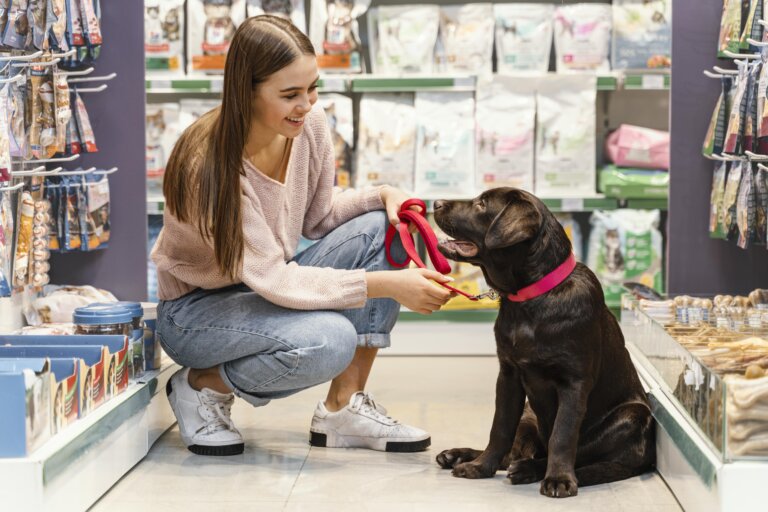 How to Use Petco Coupons In Store Easy 2026 Savings Guide